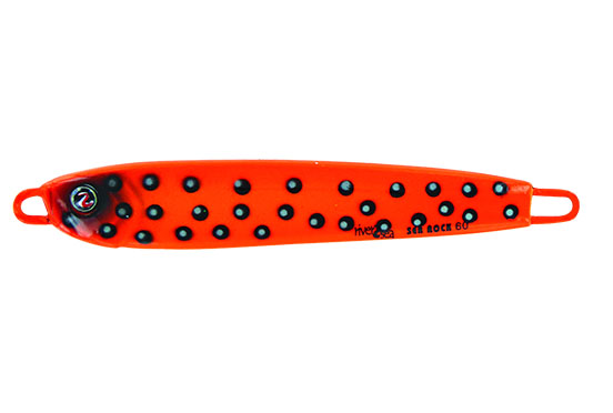 30-coral  trout
