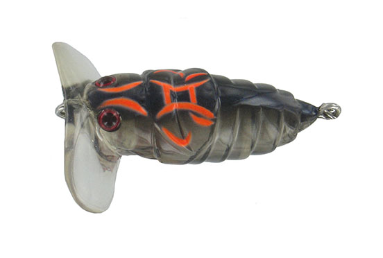 BG-08